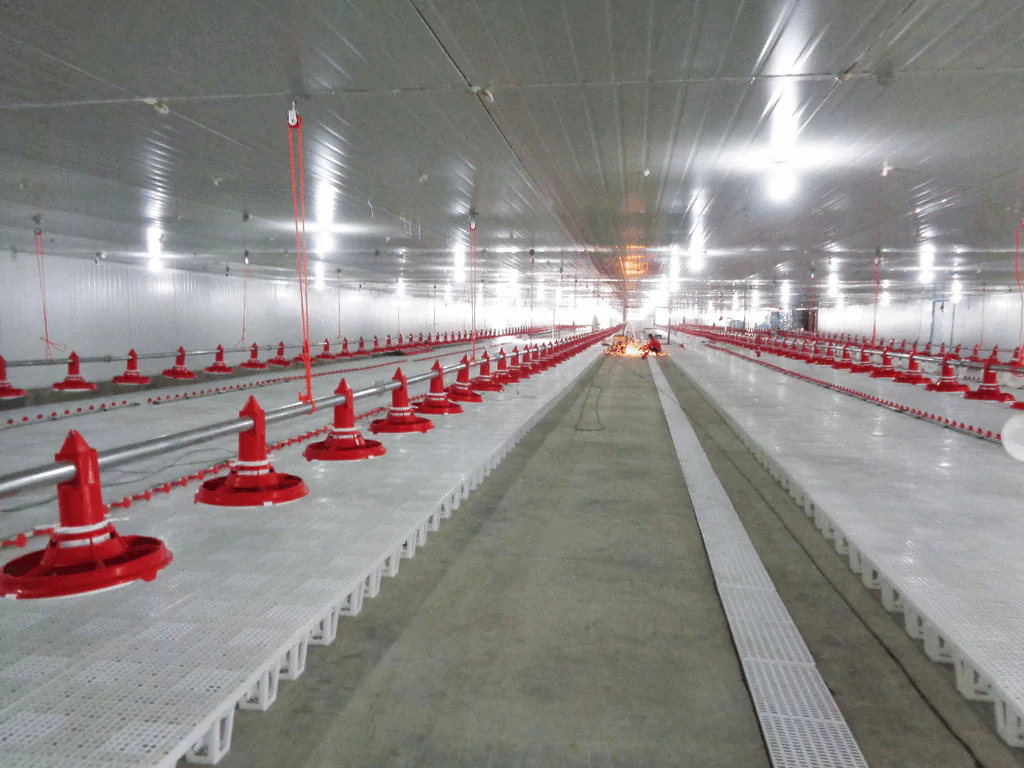 Xây dựng nhà kho nông nghiệp - Steel Structured Animal Shelter Project