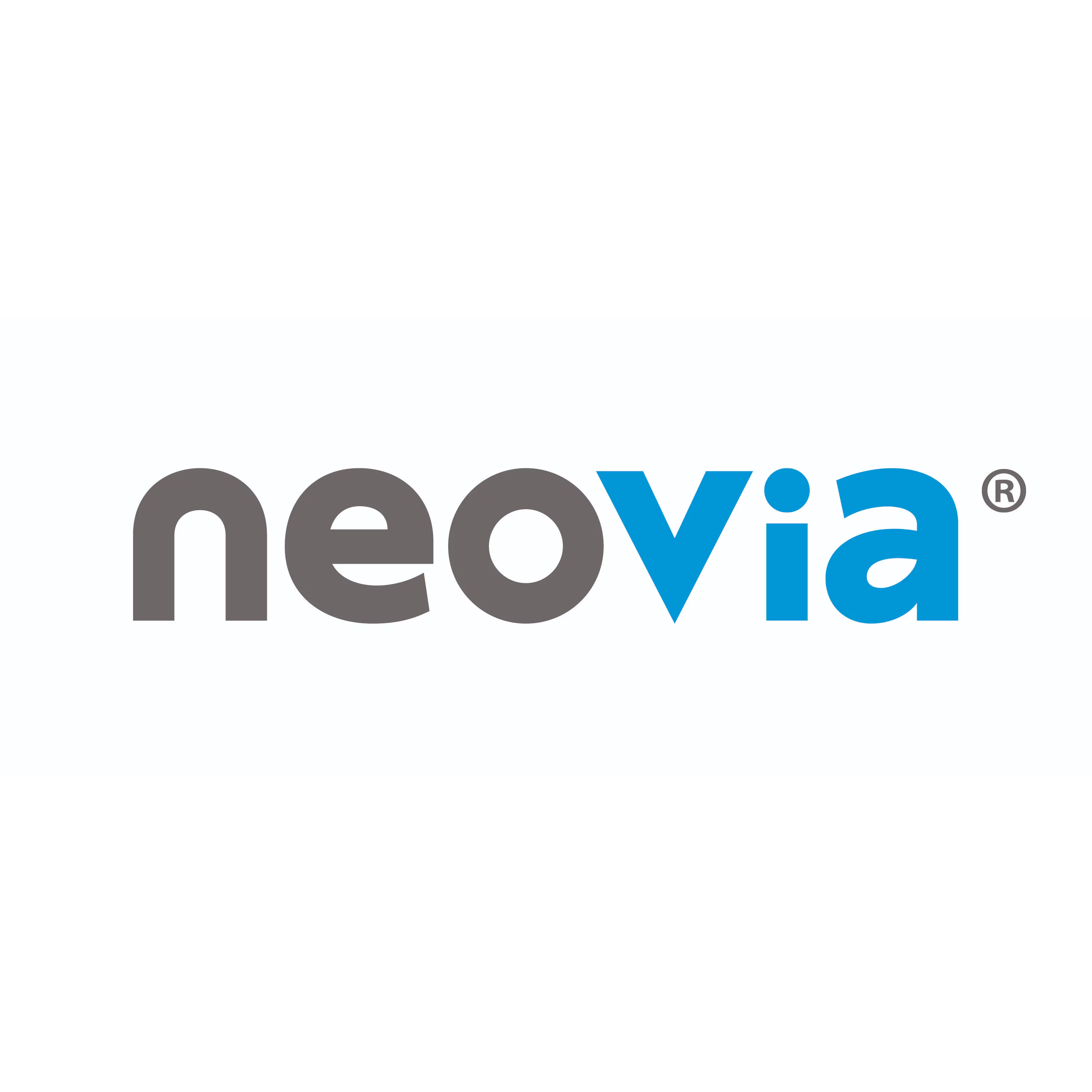 Pre Engineered Steel Building and Steel Structure Project Client - Neovia
