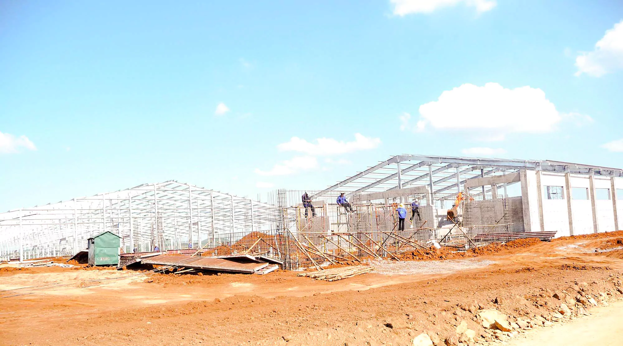 Xây Dựng Nhà Kho Nông Nghiệp (Việt Nam) - Steel Structured Cows Farm (Vietnam)