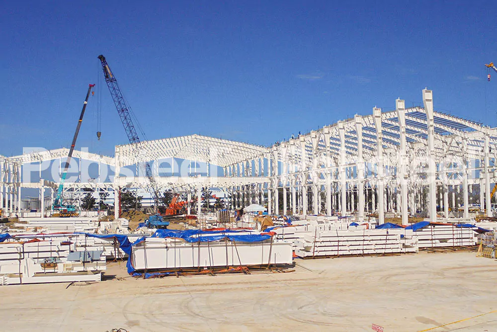 Xây dựng nhà xưởng chế tạo sữa tại Philippines - Steel Structured Dairy Factory in Philippines 2016