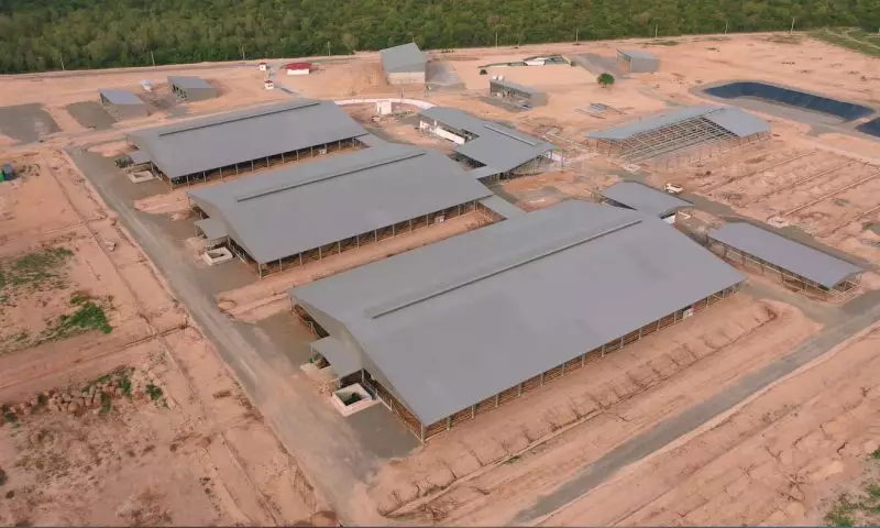 Pre-engineered steel building applications in agricultural construction