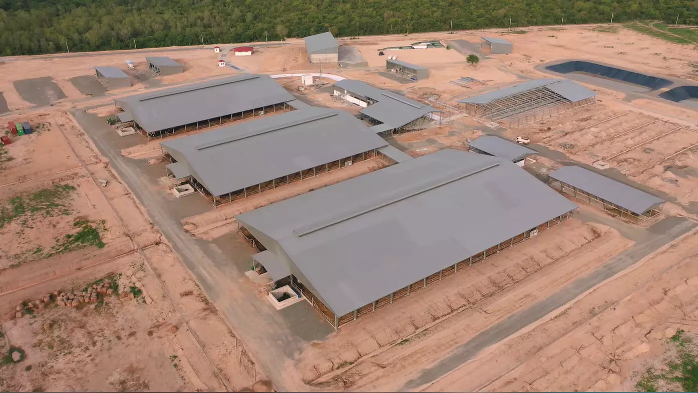 Pre-engineered steel building applications in agricultural construction