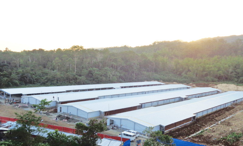 Các thành phần chính của kết cấu nhà thép tiền chế trong chăn nuôi gia cầm 