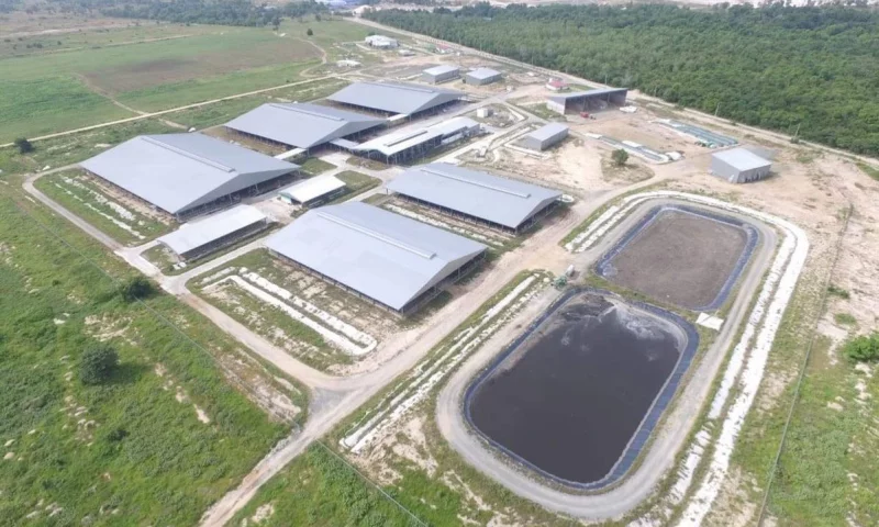 Concept of pre-engineered steel buildings