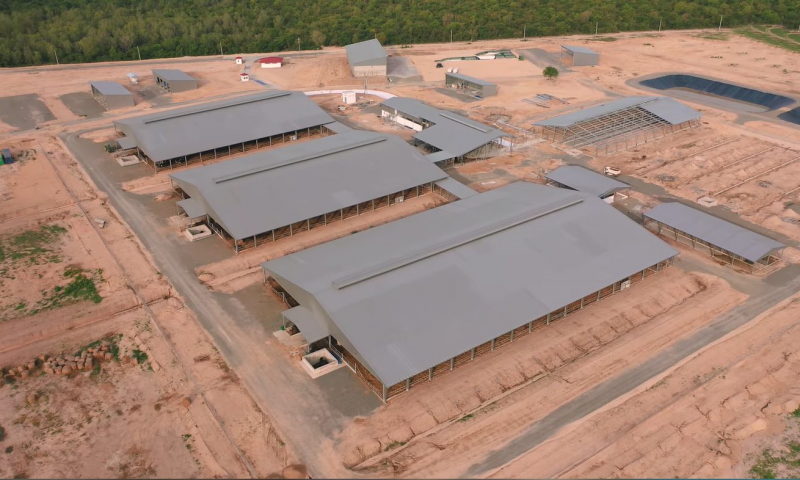 Nguyên tắc thiết kế kết cấu nhà thép tiền chế trong chăn nuôi gia cầm