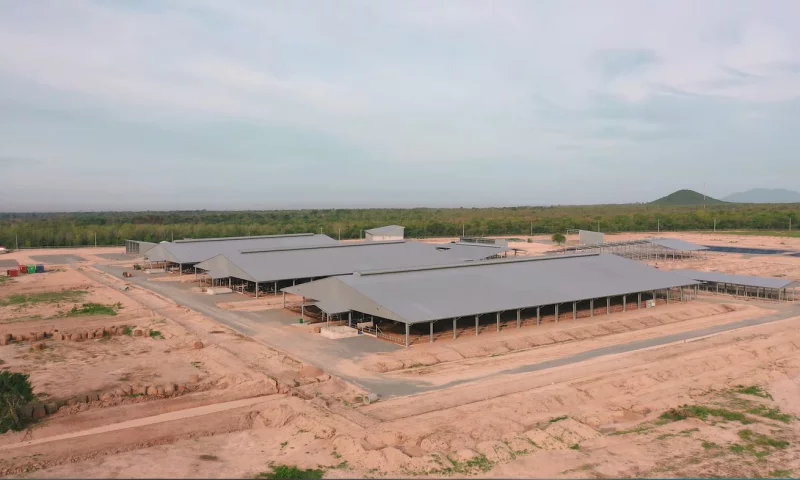 Nhà thép tiền chế linh hoạt trong thiết kế và mở rộng