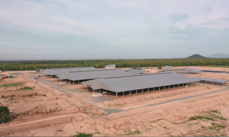 Prefabricated steel buildings are flexible in design and expansion