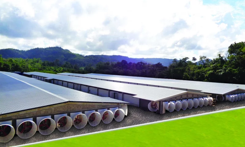 Thi công và lắp đặt dụng cụ, thiết bị chăn nuôi