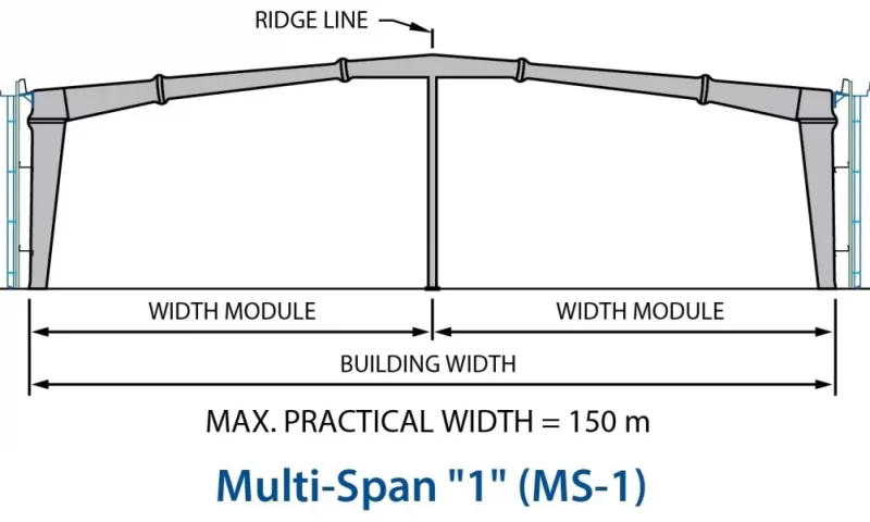 Multi-span frame