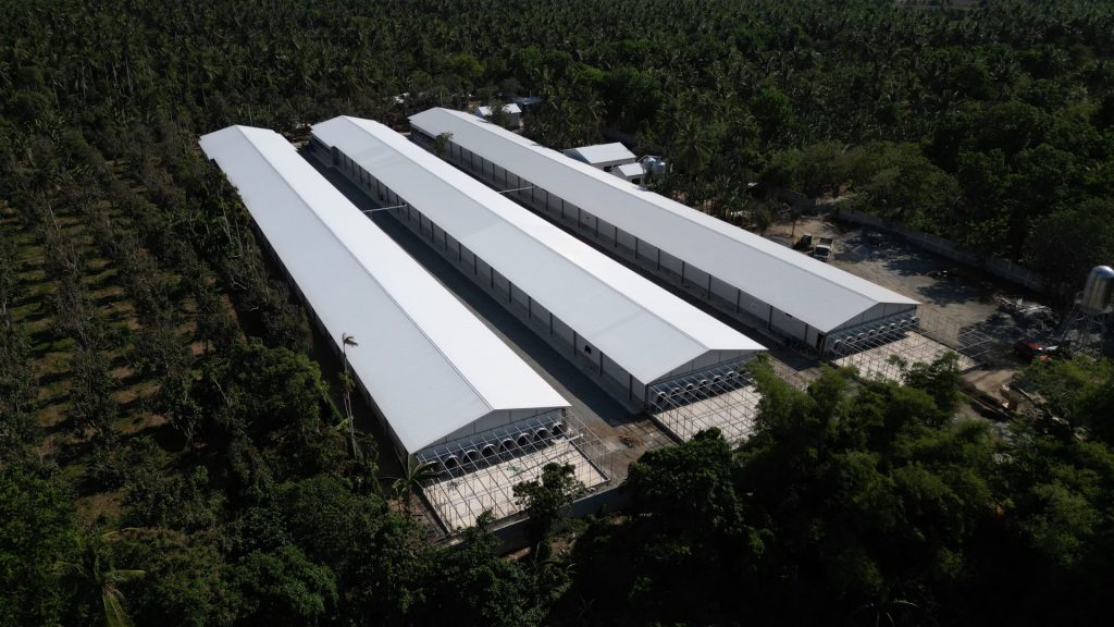 Industrial steel sheds used for logistics, manufacturing, and equipment shelter