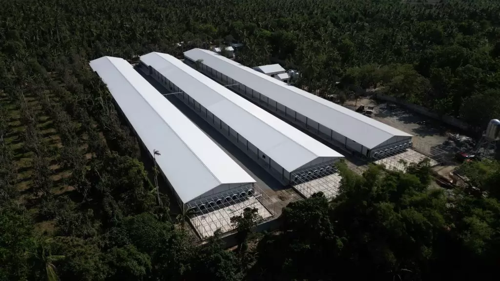 Industrial steel sheds used for logistics, manufacturing, and equipment shelter