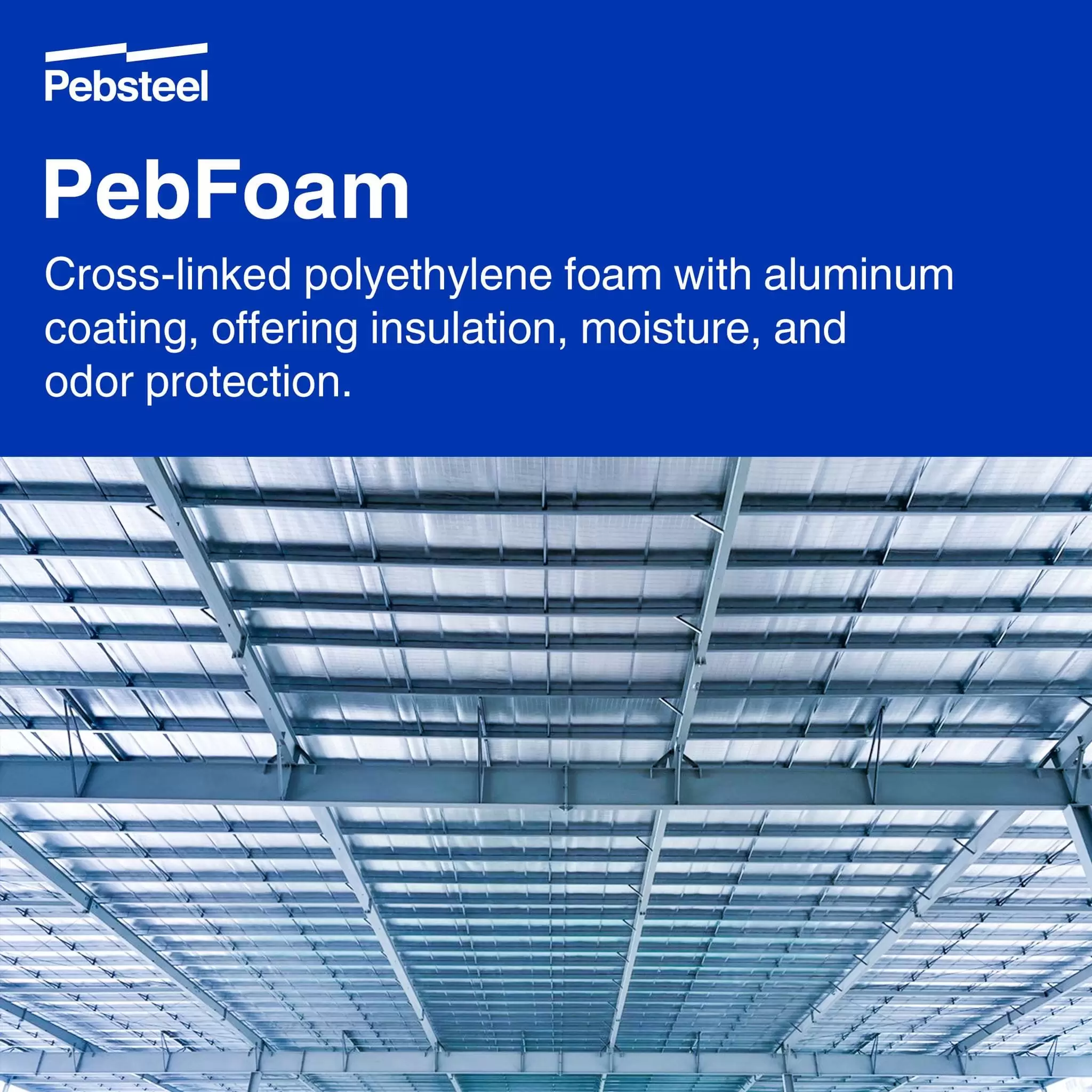 PebFoam